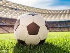 德甲第,法兰克福迎,战弗赖堡,星际娱乐官网,星际娱乐官网在线娱乐平台