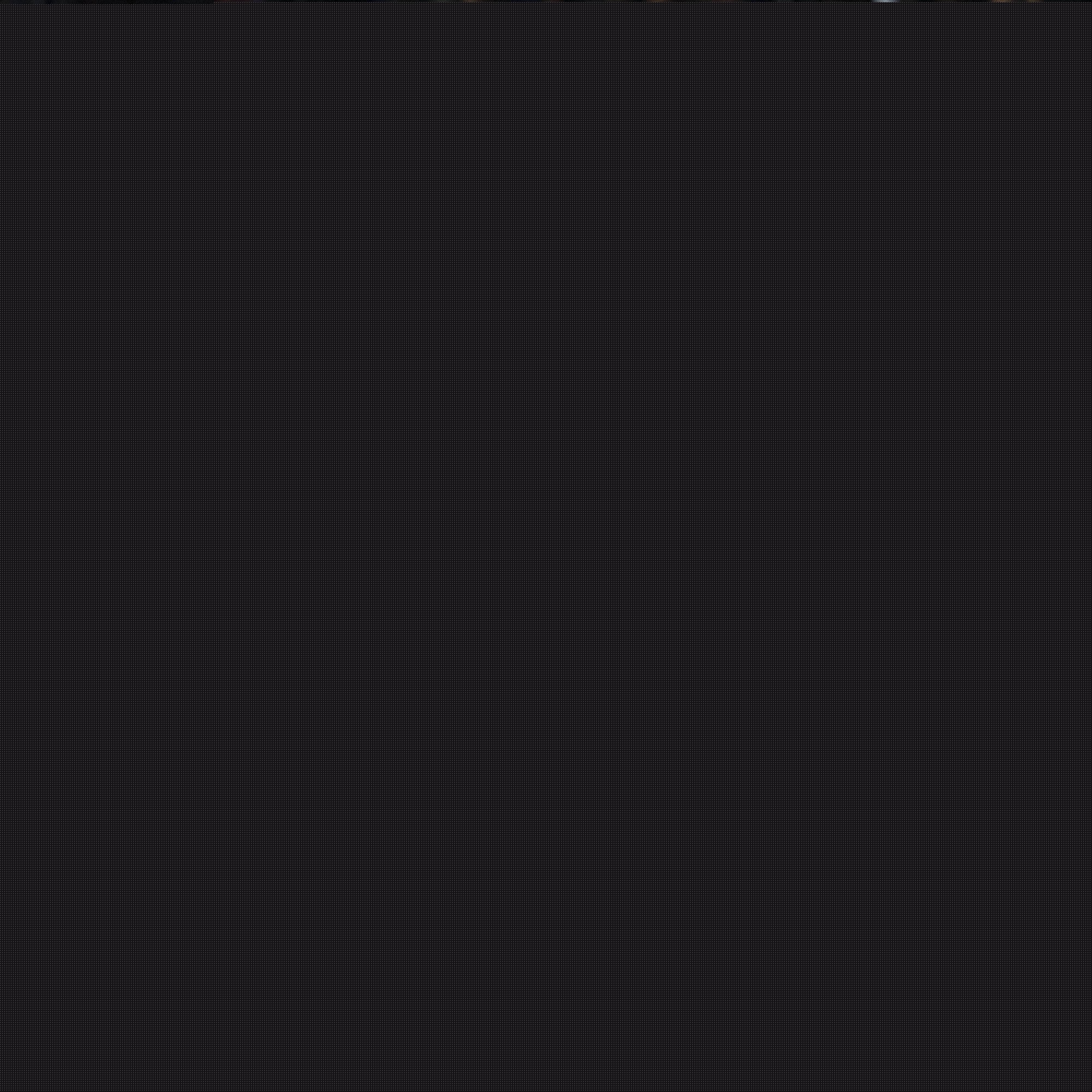 我仿佛看到